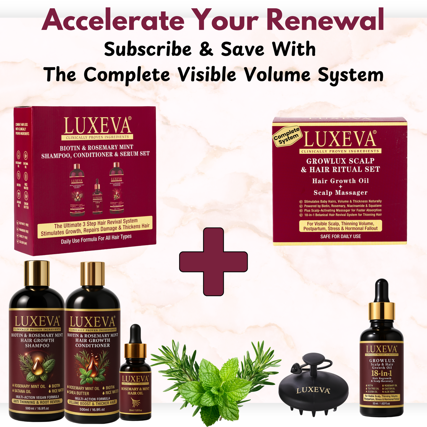 Biotin & Rosemary Mint Hair Revival Ritual